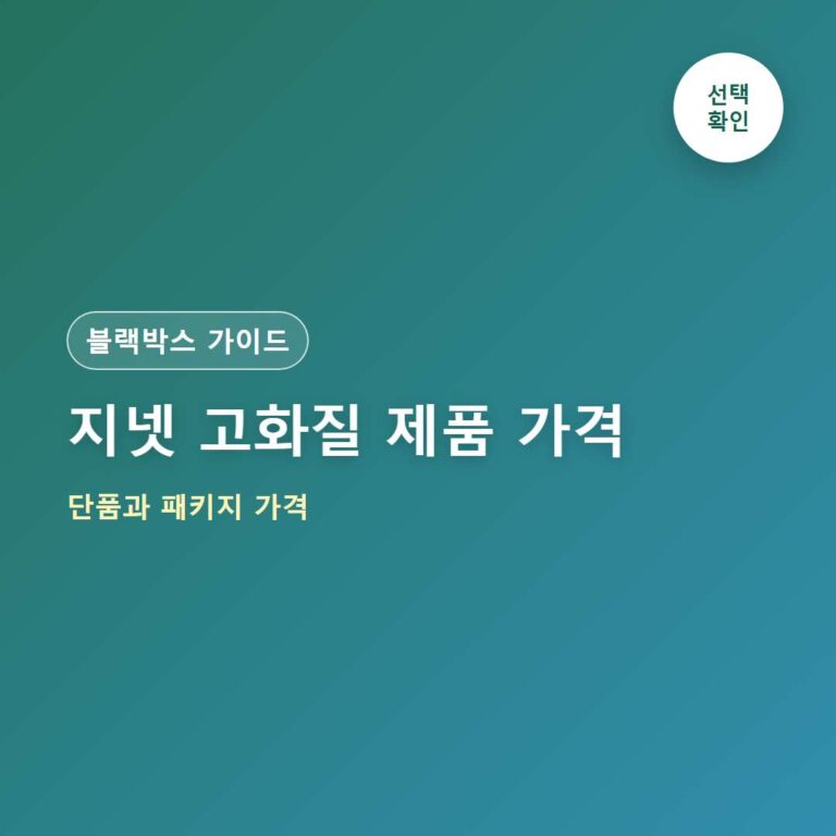 지넷 블랙박스 QHD 가격