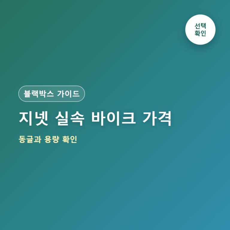 지넷 MVR Y1 가격