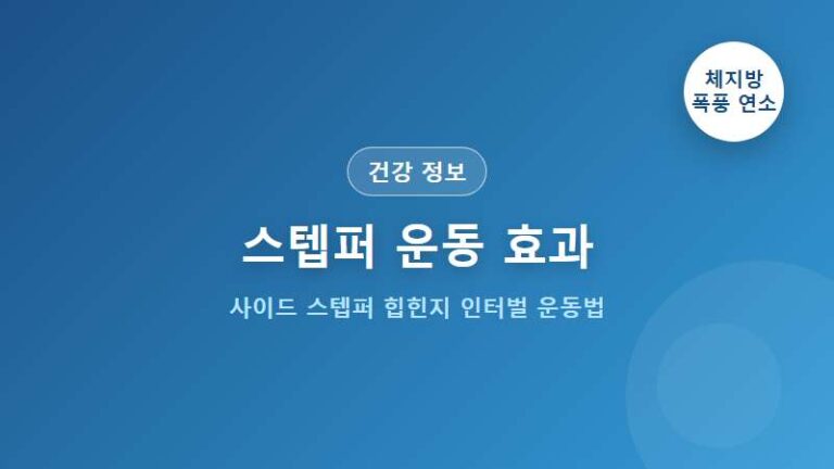 홈트의 반란, 스텝퍼로 '천국의 계단' 효과 200% 뽑아내는 5가지 비밀