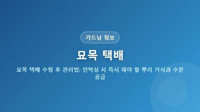 묘목 택배 수령 후 관리법: 언박싱 시 즉시 해야 할 뿌리 가식과 수분 공급