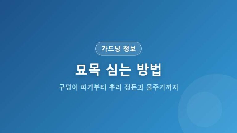 묘목 심는 방법 단계별 가이드