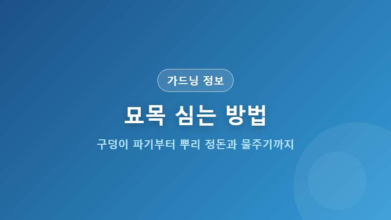 묘목 심는 방법 단계별 가이드