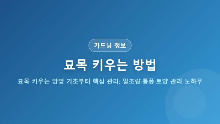묘목 키우는 방법 기초부터 핵심 관리: 일조량·통풍·토양 관리 노하우