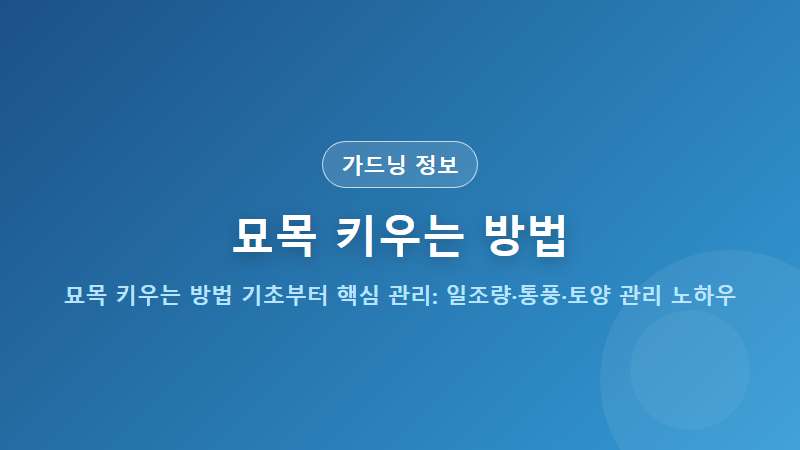 묘목 키우는 방법 기초부터 핵심 관리: 일조량·통풍·토양 관리 노하우