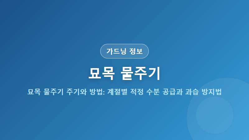 묘목 물주기 주기와 방법: 계절별 적정 수분 공급과 과습 방지법