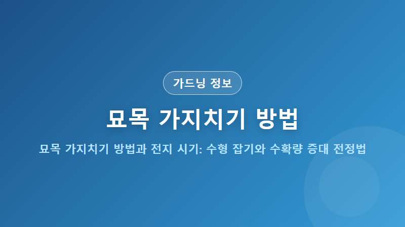 묘목 가지치기 방법과 전지 시기: 수형 잡기와 수확량 증대 전정법